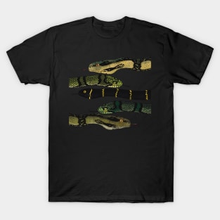 Snakes T-Shirt